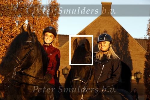 Lunteren 22 november 2021
Presentatie paarden calendar waarvan opbrengst naar het KWF gaat . Bridget Maasland en Samantha Steenwijk krijgen het eerste exemplaar . Ze kopen per paard aanrijden
