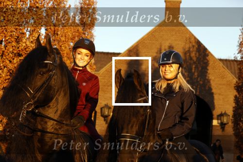 Lunteren 22 november 2021
Presentatie paarden calendar waarvan opbrengst naar het KWF gaat . Bridget Maasland en Samantha Steenwijk krijgen het eerste exemplaar . Ze kopen per paard aanrijden