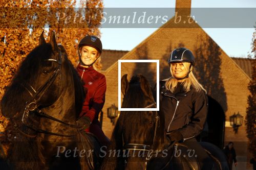 Lunteren 22 november 2021
Presentatie paarden calendar waarvan opbrengst naar het KWF gaat . Bridget Maasland en Samantha Steenwijk krijgen het eerste exemplaar . Ze kopen per paard aanrijden