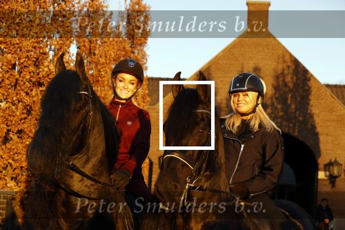 Lunteren 22 november 2021
Presentatie paarden calendar waarvan opbrengst naar het KWF gaat . Bridget Maasland en Samantha Steenwijk krijgen het eerste exemplaar . Ze kopen per paard aanrijden