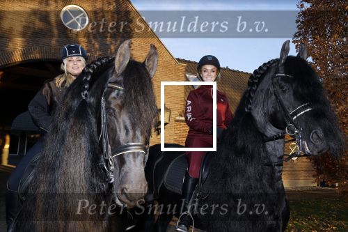 Lunteren 22 november 2021
Presentatie paarden calendar waarvan opbrengst naar het KWF gaat . Bridget Maasland en Samantha Steenwijk krijgen het eerste exemplaar . Ze kopen per paard aanrijden