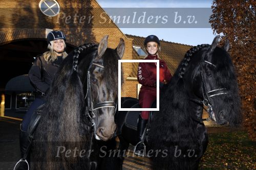 Lunteren 22 november 2021
Presentatie paarden calendar waarvan opbrengst naar het KWF gaat . Bridget Maasland en Samantha Steenwijk krijgen het eerste exemplaar . Ze kopen per paard aanrijden