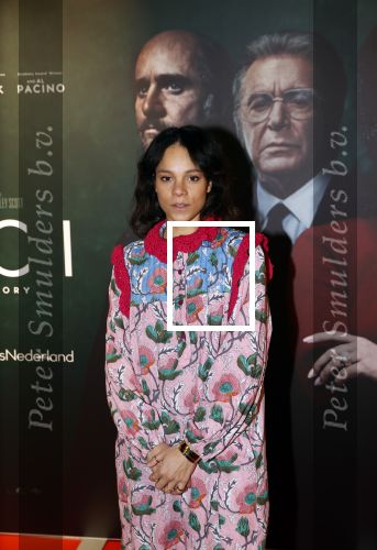 Amsterdam 23 november 2021
Premiere House of Gucci in pathe arena.
Chloï¿½ Leenheer
Chloe Leenheer