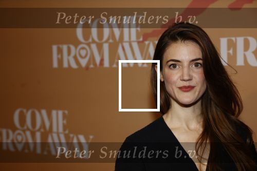 Rotterdam 18 november 2021
Premiere Come from away in het nieuwe Luxor theater.
Christanne de Bruijn met partner