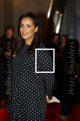 Amsterdam 23 november 2021
Premiere House of Gucci in pathe arena.
Dyantha Brooks kwam met haar schoonmoeder