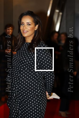 Amsterdam 23 november 2021
Premiere House of Gucci in pathe arena.
Dyantha Brooks kwam met haar schoonmoeder