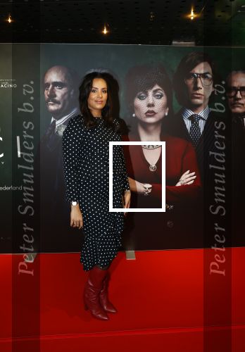Amsterdam 23 november 2021
Premiere House of Gucci in pathe arena.
Dyantha Brooks kwam met haar schoonmoeder