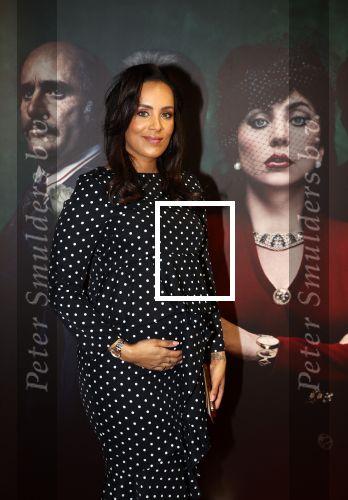 Amsterdam 23 november 2021
Premiere House of Gucci in pathe arena.
Dyantha Brooks kwam met haar schoonmoeder