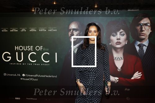 Amsterdam 23 november 2021
Premiere House of Gucci in pathe arena.
Dyantha Brooks kwam met haar schoonmoeder