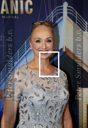 Almere 21 november 2021
Premiere van musical the Titanic in schouwburg Almere. Ellen evers met haar man