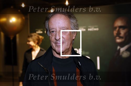Amsterdam 23 november 2021
Premiere House of Gucci in pathe arena. 
Hans v Willigenburg