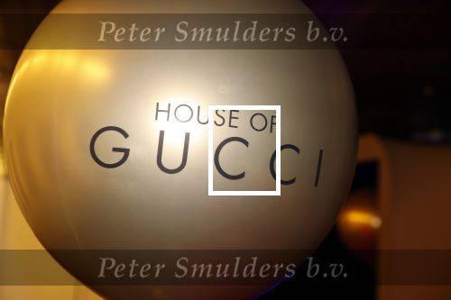 Amsterdam 23 november 2021
Premiere House of Gucci in pathe arena.