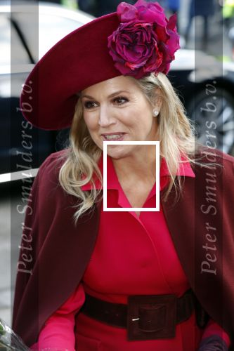 Den Haag 8 december 2021
Prinses Amalia arriveert voor de buitengewone vergadering van de Raad van State. Naast de prinses waren ook koning Willem Alexander en koningin Maxima bij de buitengewone vergadering aanwezig.
Na de vergadering ging Amalia in de tuin een boom planten.