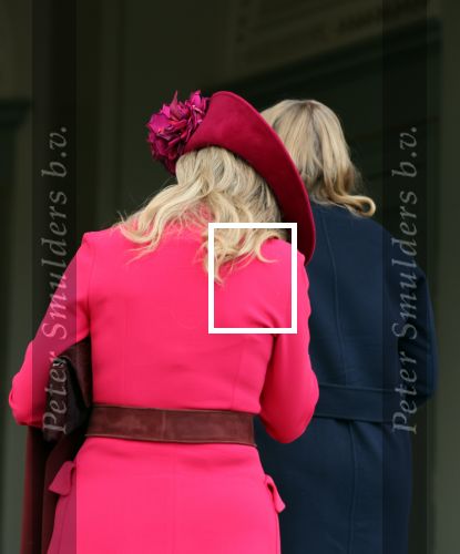 Den Haag 8 december 2021
Prinses Amalia arriveert voor de buitengewone vergadering van de Raad van State. Naast de prinses waren ook koning Willem Alexander en koningin Maxima bij de buitengewone vergadering aanwezig.
Na de vergadering ging Amalia in de tuin een boom planten.