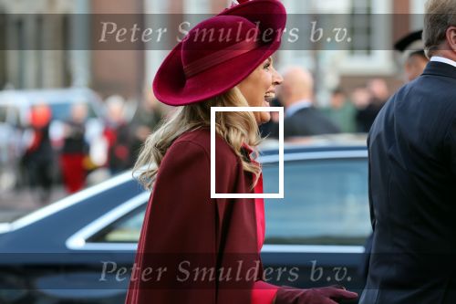 Den Haag 8 december 2021
Prinses Amalia arriveert voor de buitengewone vergadering van de Raad van State. Naast de prinses waren ook koning Willem Alexander en koningin Maxima bij de buitengewone vergadering aanwezig.
Na de vergadering ging Amalia in de tuin een boom planten.