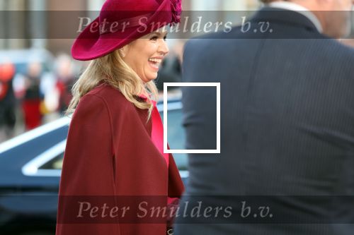 Den Haag 8 december 2021
Prinses Amalia arriveert voor de buitengewone vergadering van de Raad van State. Naast de prinses waren ook koning Willem Alexander en koningin Maxima bij de buitengewone vergadering aanwezig.
Na de vergadering ging Amalia in de tuin een boom planten.