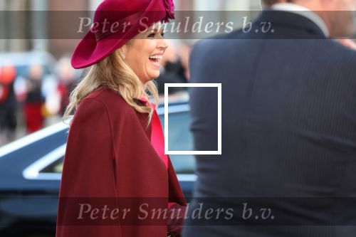 Den Haag 8 december 2021
Prinses Amalia arriveert voor de buitengewone vergadering van de Raad van State. Naast de prinses waren ook koning Willem Alexander en koningin Maxima bij de buitengewone vergadering aanwezig.
Na de vergadering ging Amalia in de tuin een boom planten.