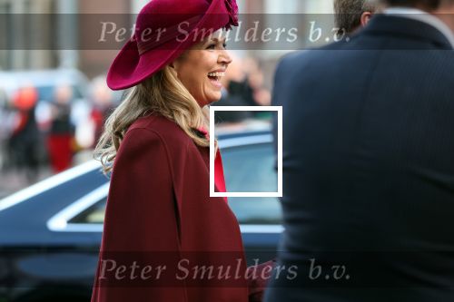 Den Haag 8 december 2021
Prinses Amalia arriveert voor de buitengewone vergadering van de Raad van State. Naast de prinses waren ook koning Willem Alexander en koningin Maxima bij de buitengewone vergadering aanwezig.
Na de vergadering ging Amalia in de tuin een boom planten.