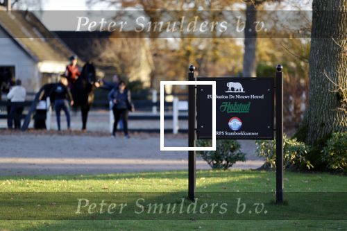 Lunteren 22 november 2021
Presentatie paarden calendar waarvan opbrengst naar het KWF gaat . Bridget Maasland en Samantha Steenwijk krijgen het eerste exemplaar . Ze kopen per paard aanrijden . manege de nieuwe heuvel