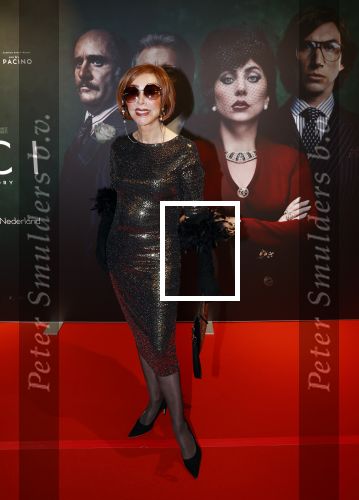 Amsterdam 23 november 2021
Premiere House of Gucci in pathe arena. Marijke Helwegen