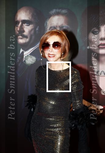 Amsterdam 23 november 2021
Premiere House of Gucci in pathe arena. Marijke Helwegen