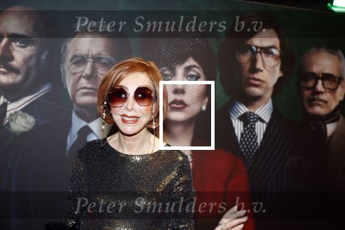 Amsterdam 23 november 2021
Premiere House of Gucci in pathe arena. Marijke Helwegen