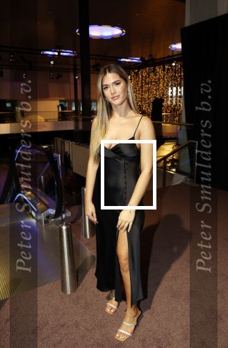 Amstrerdam 20 november 2021
VIP opening Masters Expo in de Rai . De fair heette voorheen Luxury fair.
