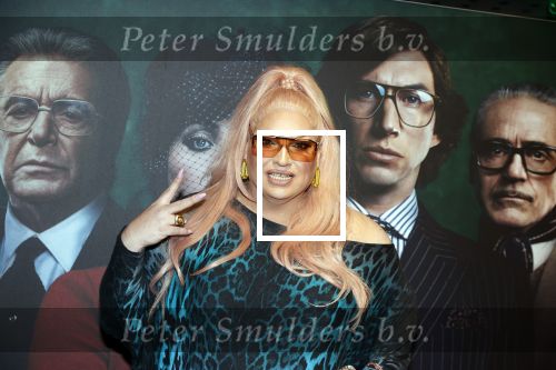 Amsterdam 23 november 2021
Premiere House of Gucci in pathe arena. Mayday