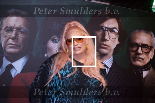 Amsterdam 23 november 2021
Premiere House of Gucci in pathe arena. Mayday