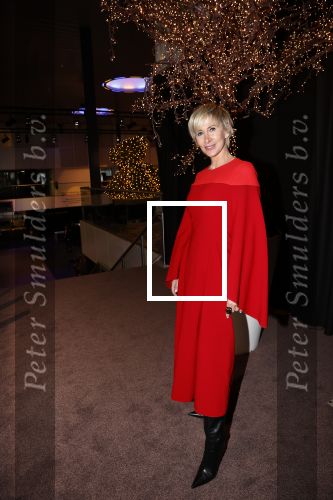 Amstrerdam 20 november 2021
VIP opening Masters Expo in de Rai . De fair heette voorheen Luxury fair.