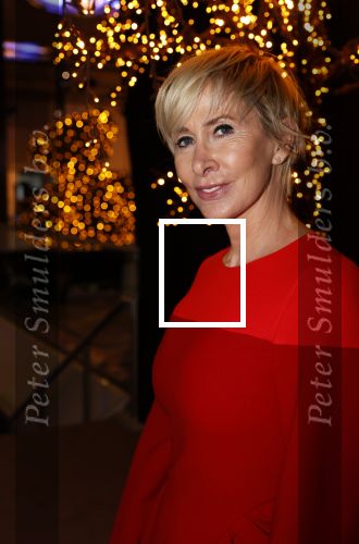 Amstrerdam 20 november 2021
VIP opening Masters Expo in de Rai . De fair heette voorheen Luxury fair.