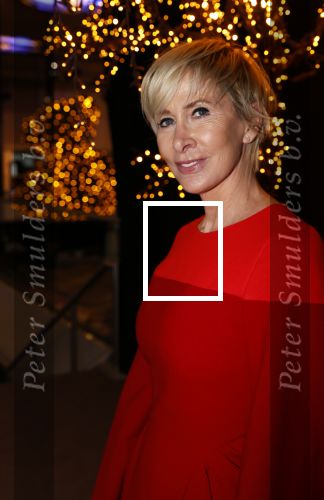Amstrerdam 20 november 2021
VIP opening Masters Expo in de Rai . De fair heette voorheen Luxury fair.