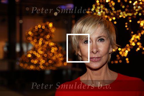 Amstrerdam 20 november 2021
VIP opening Masters Expo in de Rai . De fair heette voorheen Luxury fair.