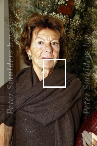 Amsterdam november 2021
Diner bij Harpers Bazaar. neelie Kroes