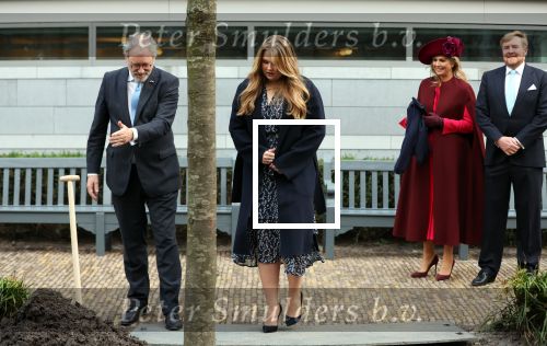 Den Haag 8 december 2021
Prinses Amalia arriveert voor de buitengewone vergadering van de Raad van State. Naast de prinses waren ook koning Willem Alexander en koningin Maxima bij de buitengewone vergadering aanwezig.
Na de vergadering ging Amalia in de tuin een boom planten.