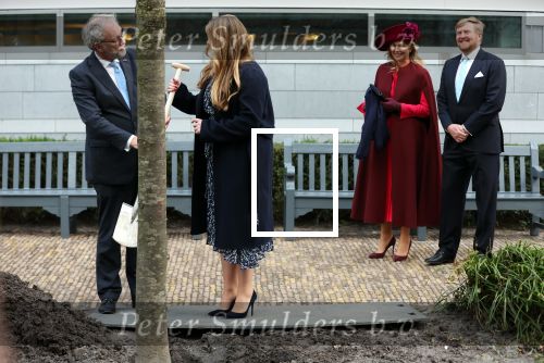 Den Haag 8 december 2021
Prinses Amalia arriveert voor de buitengewone vergadering van de Raad van State. Naast de prinses waren ook koning Willem Alexander en koningin Maxima bij de buitengewone vergadering aanwezig.
Na de vergadering ging Amalia in de tuin een boom planten.
