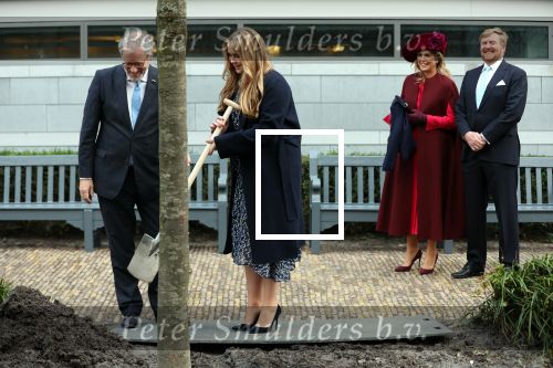Den Haag 8 december 2021
Prinses Amalia arriveert voor de buitengewone vergadering van de Raad van State. Naast de prinses waren ook koning Willem Alexander en koningin Maxima bij de buitengewone vergadering aanwezig.
Na de vergadering ging Amalia in de tuin een boom planten.