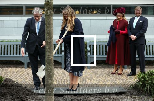 Den Haag 8 december 2021
Prinses Amalia arriveert voor de buitengewone vergadering van de Raad van State. Naast de prinses waren ook koning Willem Alexander en koningin Maxima bij de buitengewone vergadering aanwezig.
Na de vergadering ging Amalia in de tuin een boom planten.