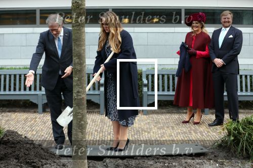 Den Haag 8 december 2021
Prinses Amalia arriveert voor de buitengewone vergadering van de Raad van State. Naast de prinses waren ook koning Willem Alexander en koningin Maxima bij de buitengewone vergadering aanwezig.
Na de vergadering ging Amalia in de tuin een boom planten.