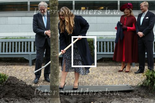 Den Haag 8 december 2021
Prinses Amalia arriveert voor de buitengewone vergadering van de Raad van State. Naast de prinses waren ook koning Willem Alexander en koningin Maxima bij de buitengewone vergadering aanwezig.
Na de vergadering ging Amalia in de tuin een boom planten.