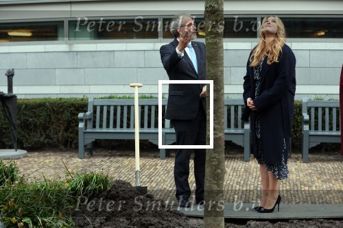 Den Haag 8 december 2021
Prinses Amalia arriveert voor de buitengewone vergadering van de Raad van State. Naast de prinses waren ook koning Willem Alexander en koningin Maxima bij de buitengewone vergadering aanwezig.
Na de vergadering ging Amalia in de tuin een boom planten.