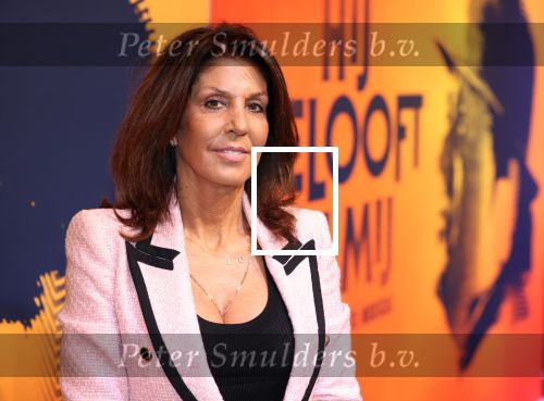 Amsterdam 30 november 2021
Presentatie cast Hij gelooft in mij met oa Martijn Fischer Roosmarijn Luyten Fabian Jansen Annick Boer en rachel Hazes .