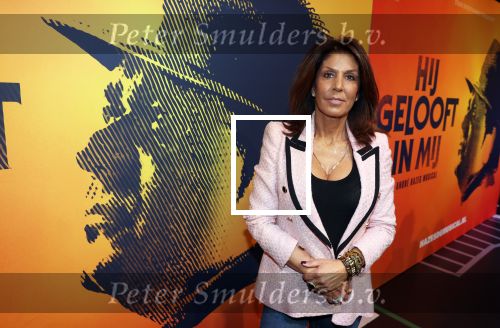 Amsterdam 30 november 2021
Presentatie cast Hij gelooft in mij met oa Martijn Fischer Roosmarijn Luyten Fabian Jansen Annick Boer en rachel Hazes .