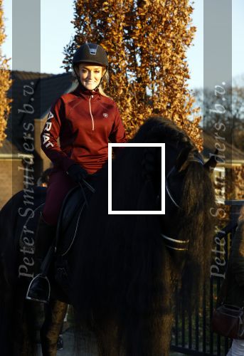 Lunteren 22 november 2021
Presentatie paarden calendar waarvan opbrengst naar het KWF gaat . Bridget Maasland en Samantha Steenwijk krijgen het eerste exemplaar . Ze kopen per paard aanrijden