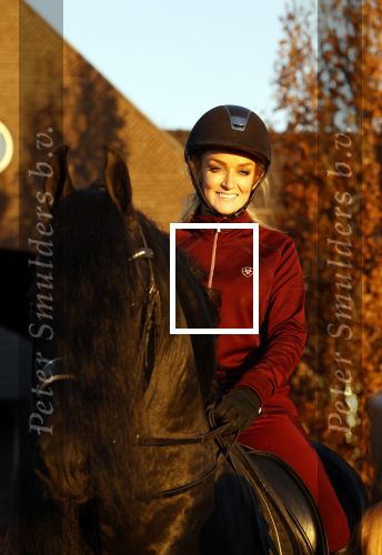 Lunteren 22 november 2021
Presentatie paarden calendar waarvan opbrengst naar het KWF gaat . Bridget Maasland en Samantha Steenwijk krijgen het eerste exemplaar . Ze kopen per paard aanrijden