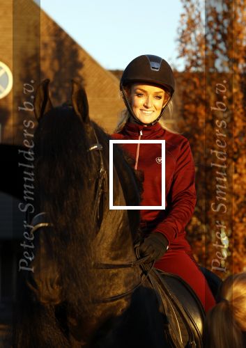 Lunteren 22 november 2021
Presentatie paarden calendar waarvan opbrengst naar het KWF gaat . Bridget Maasland en Samantha Steenwijk krijgen het eerste exemplaar . Ze kopen per paard aanrijden