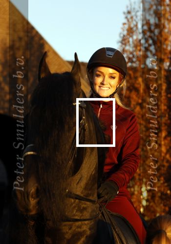 Lunteren 22 november 2021
Presentatie paarden calendar waarvan opbrengst naar het KWF gaat . Bridget Maasland en Samantha Steenwijk krijgen het eerste exemplaar . Ze kopen per paard aanrijden