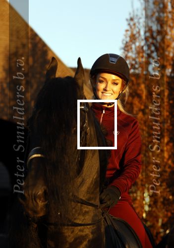 Lunteren 22 november 2021
Presentatie paarden calendar waarvan opbrengst naar het KWF gaat . Bridget Maasland en Samantha Steenwijk krijgen het eerste exemplaar . Ze kopen per paard aanrijden