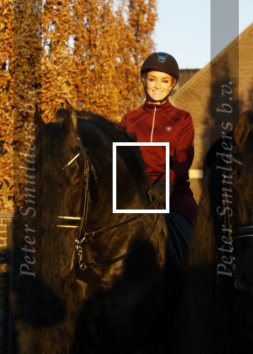 Lunteren 22 november 2021
Presentatie paarden calendar waarvan opbrengst naar het KWF gaat . Bridget Maasland en Samantha Steenwijk krijgen het eerste exemplaar . Ze kopen per paard aanrijden