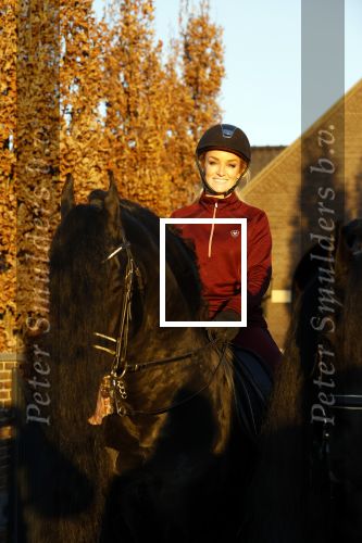Lunteren 22 november 2021
Presentatie paarden calendar waarvan opbrengst naar het KWF gaat . Bridget Maasland en Samantha Steenwijk krijgen het eerste exemplaar . Ze kopen per paard aanrijden